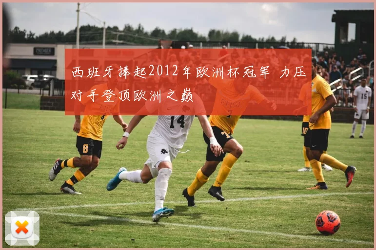 西班牙捧起2012年欧洲杯冠军 力压对手登顶欧洲之巅